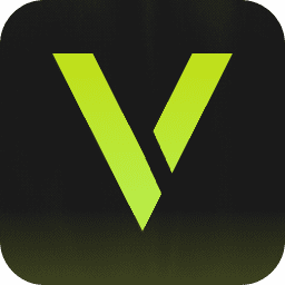 VGN Logo